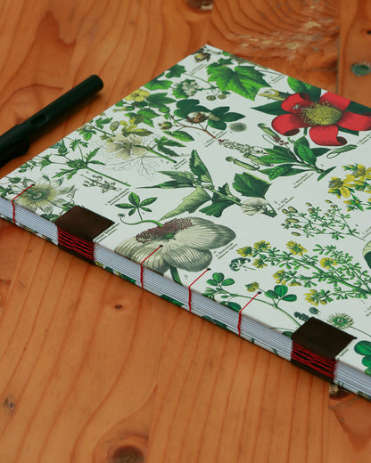 Quaderno da scrivania A4 con illustrazioni botaniche e carta di birra Weiss - rosso