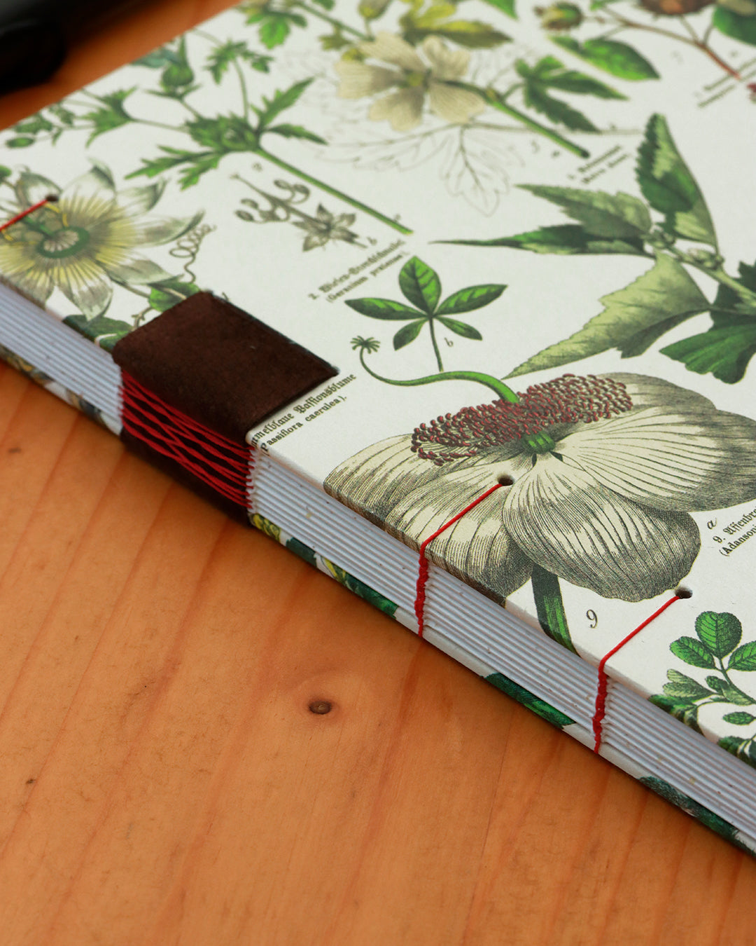 Quaderno da scrivania A4 con illustrazioni botaniche e carta di birra Weiss - rosso