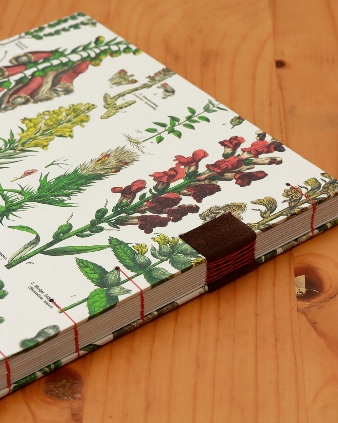 Quaderno da scrivania A4 con illustrazioni botaniche e carta di birra Weiss - rosso