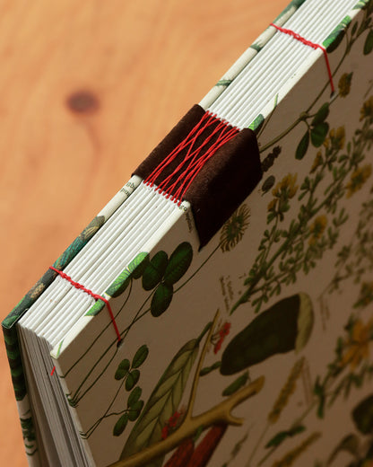 Quaderno da scrivania A4 con illustrazioni botaniche e carta di birra Weiss - rosso