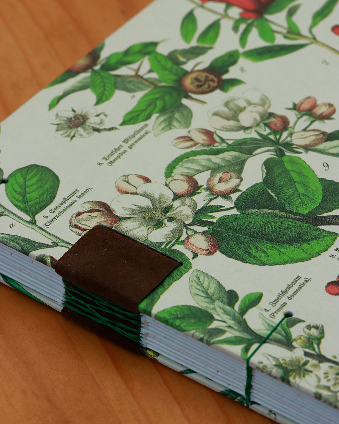 Quaderno da scrivania A4 con illustrazioni botaniche e carta di birra Weiss - verde