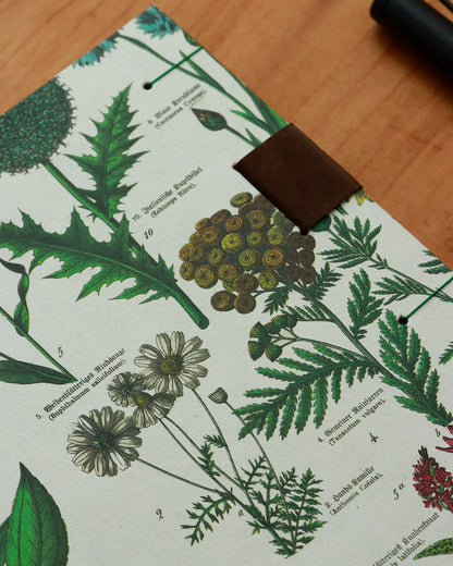 Quaderno da scrivania A4 con illustrazioni botaniche e carta di birra Weiss - verde