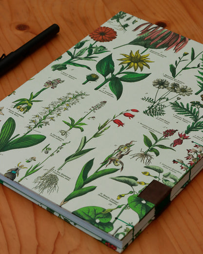 Quaderno da scrivania A4 con illustrazioni botaniche e carta di birra Weiss - verde