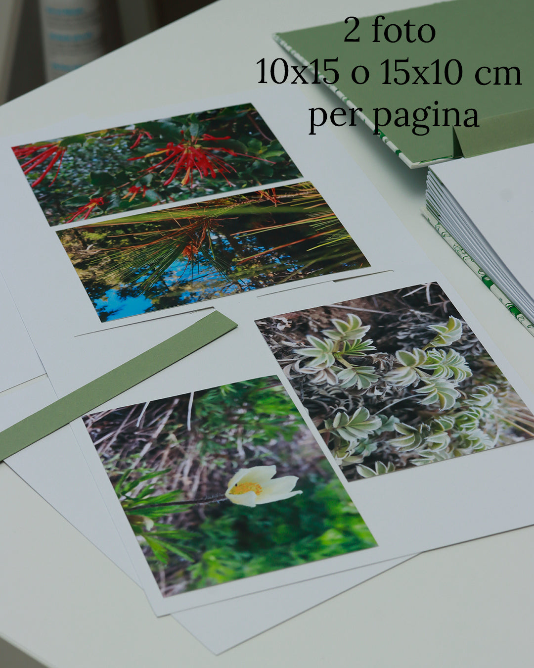 Album medio fotografia o guestbook | formato quadrato con pagine sfilabili | copertina in carta di lokta con stampa botanica rame su grigio
