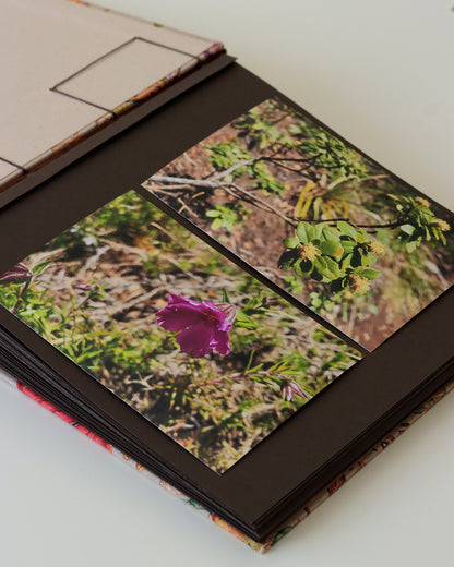 Album medio fotografia quadrato, rilegatura crisscross, fiori arabeschi marrone