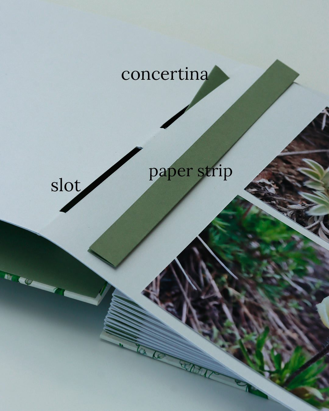 Album medio fotografia o guestbook | formato verticale con pagine crema sfilabili | copertina in carta di lokta con fiori argento e arancione