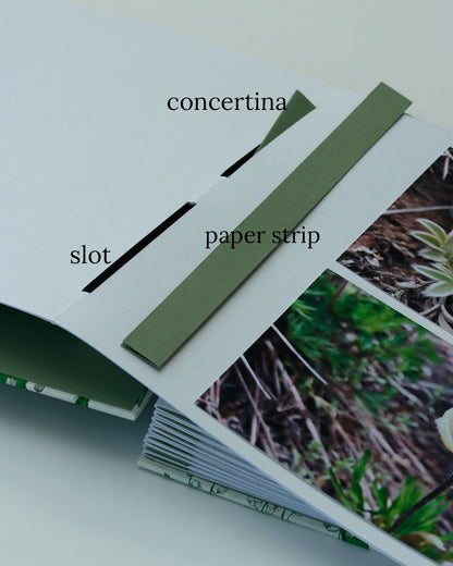 Album medio fotografia o guestbook | formato verticale con pagine crema sfilabili | copertina in carta di lokta con fiori argento e arancione