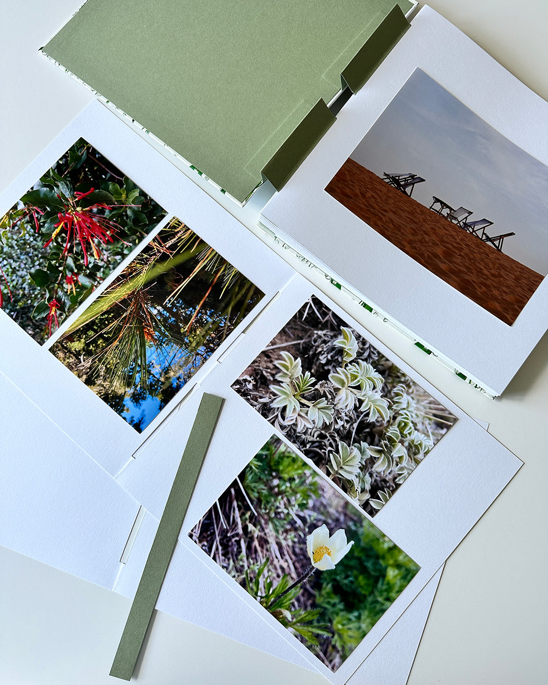 album di foto stampate