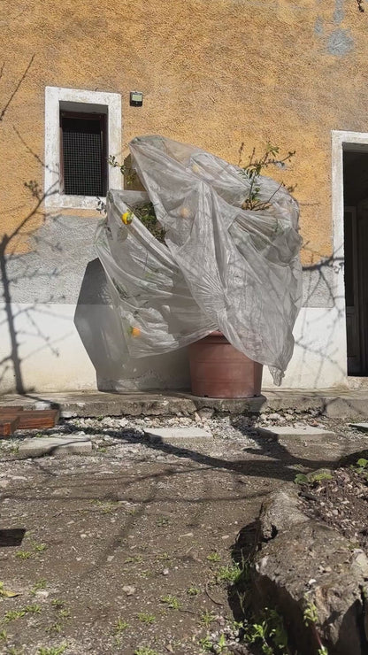 Ricettario formato A5 agrumi, maioliche giallo, blu e viola