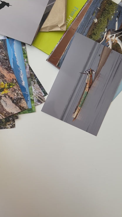 Album medio fotografia o guestbook | rilegatura australiana | ritratti di gatti