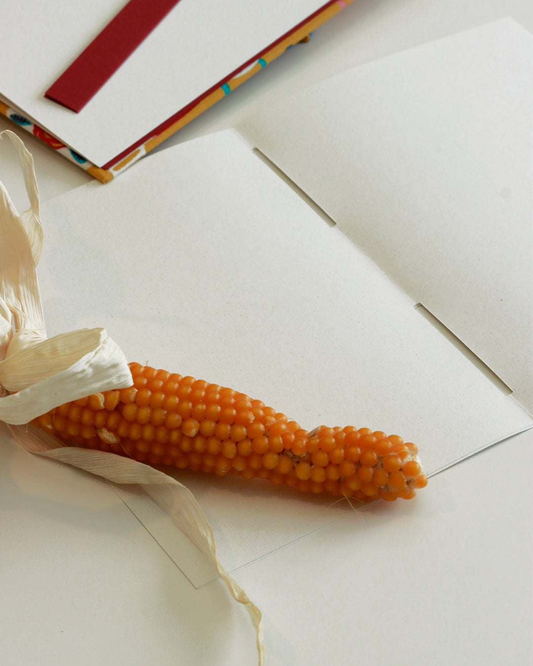 Ricettario A5 con carta di mais 🌽 | Stoviglie blu su bianco