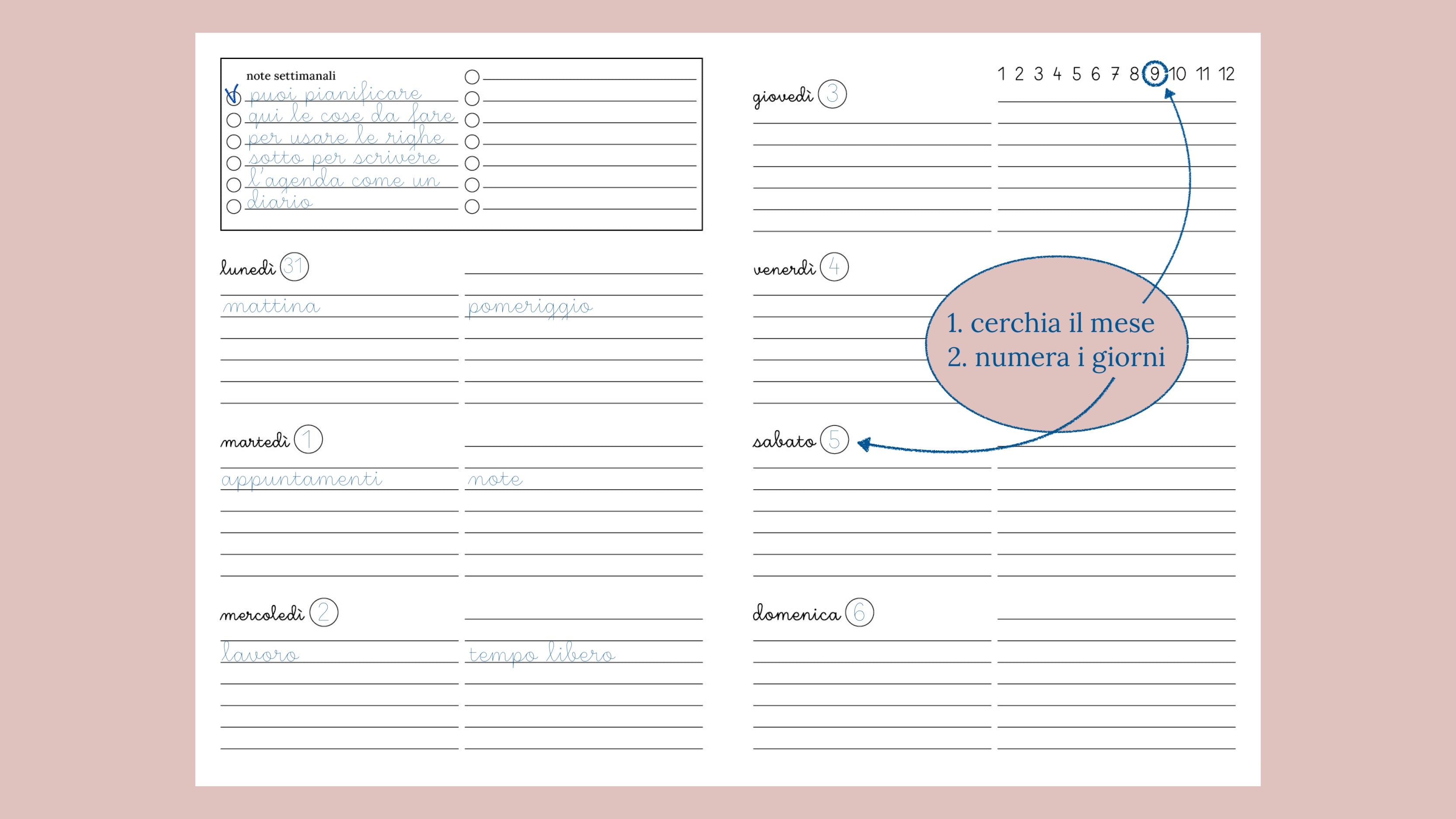 dimostrazione di come preparare a mano il planner settimanale
